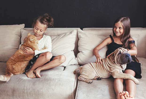 Quand stériliser son chat ou son chien ? Guide complet par notre vétérinaire à Genève