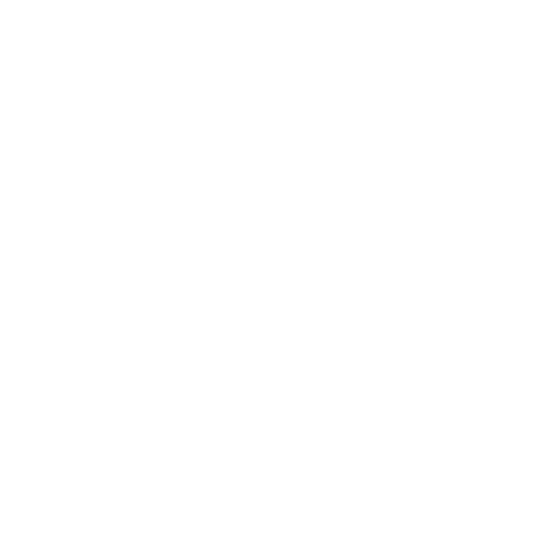 vetcity-blanc-logo